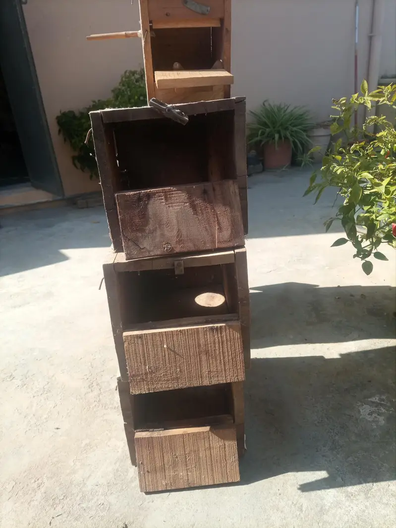 kekar breeding box — photo 4