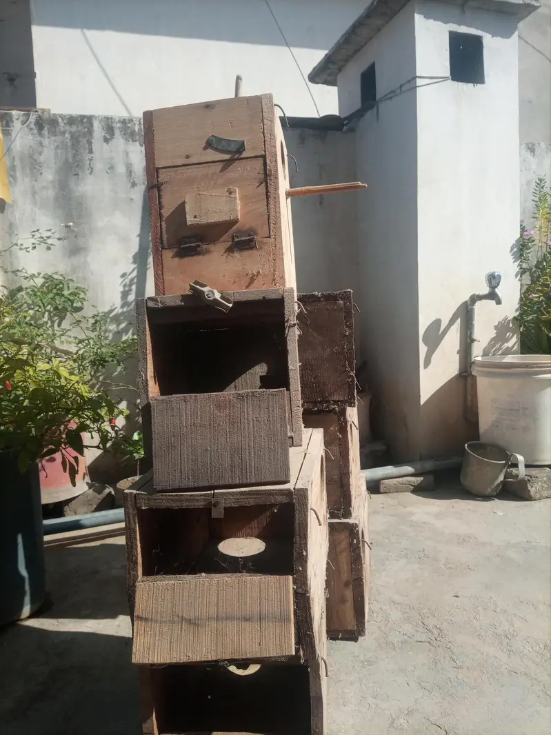 kekar breeding box — photo 5