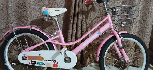 Im Selling Kids Cycle Brand New Condition Only One Week Use