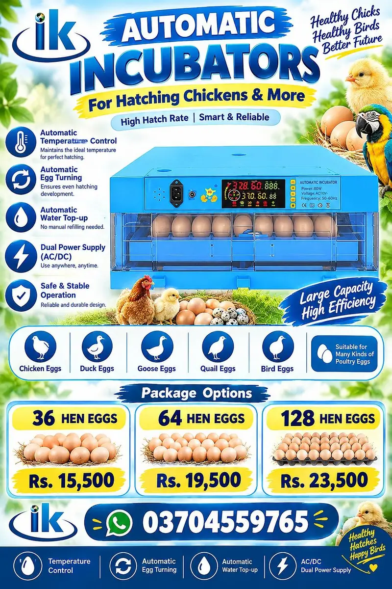 incubators /Fully automatic incubators on wholesale price — photo 2