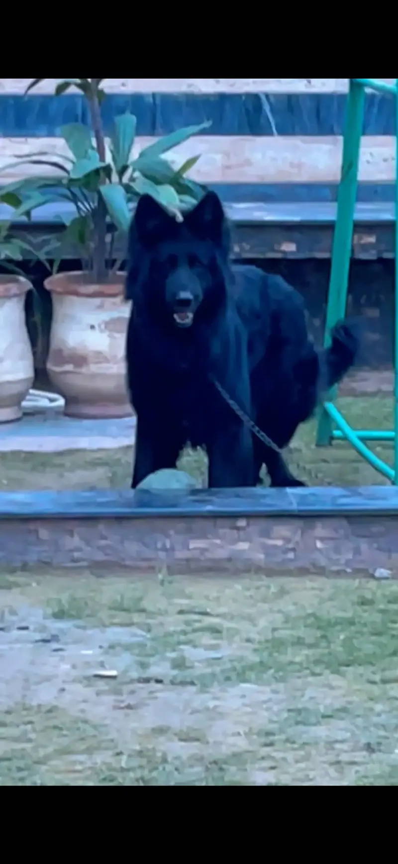 Confirm stud mitting available 03128988888 — photo 2