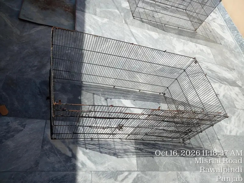 Birds Folding Cage Tower 4 Portion — photo 7