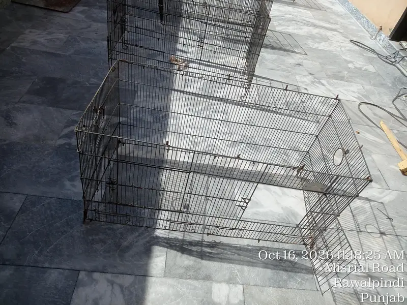 Birds Folding Cage Tower 4 Portion — photo 8