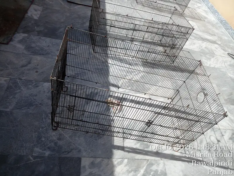 Birds Folding Cage Tower 4 Portion — photo 9
