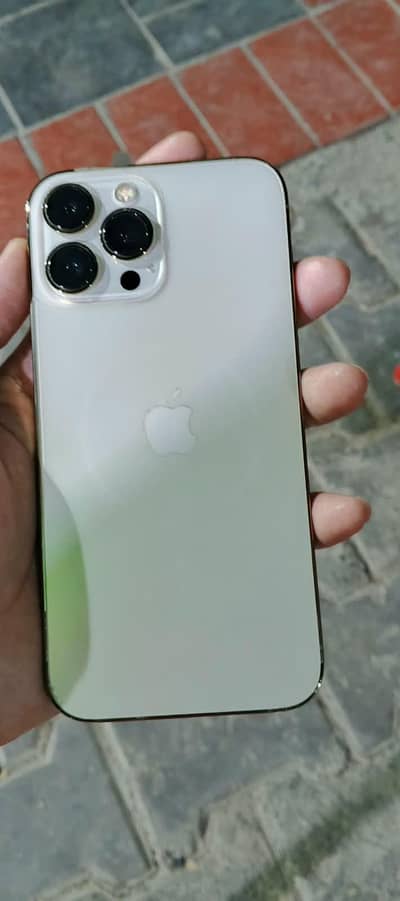 Apple iPhone 13 Pro Max