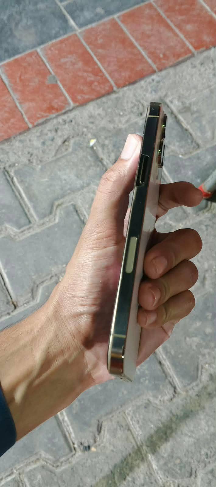 Apple iPhone 13 Pro Max 2