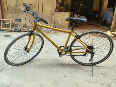 Imported Sports Bicycle