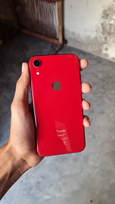 iPhone xr |128 GB|