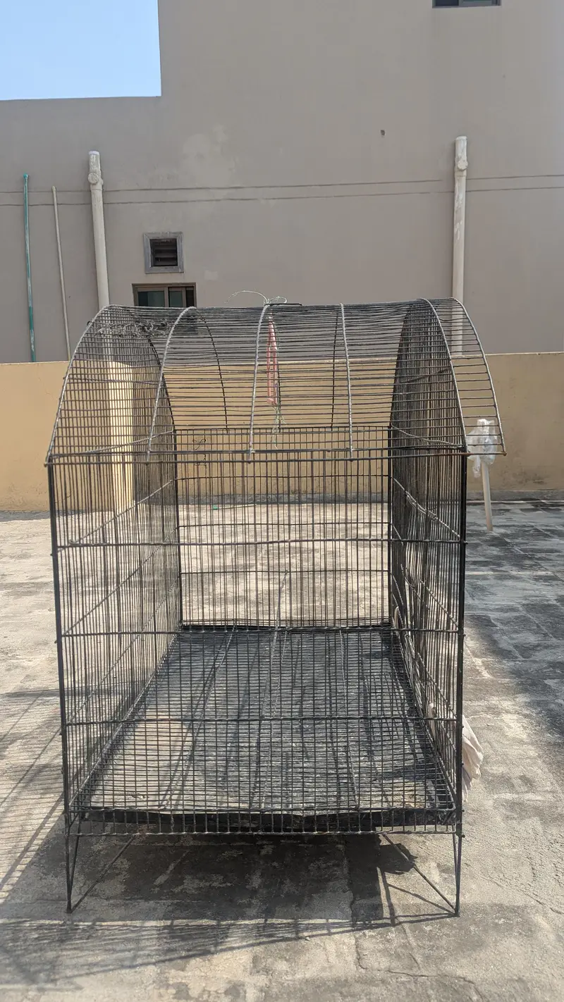 Big parrot and animal cage — photo 2