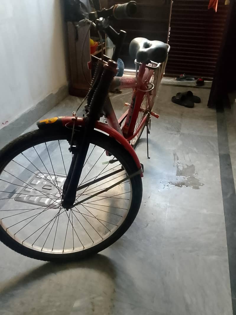 New red cycle 1