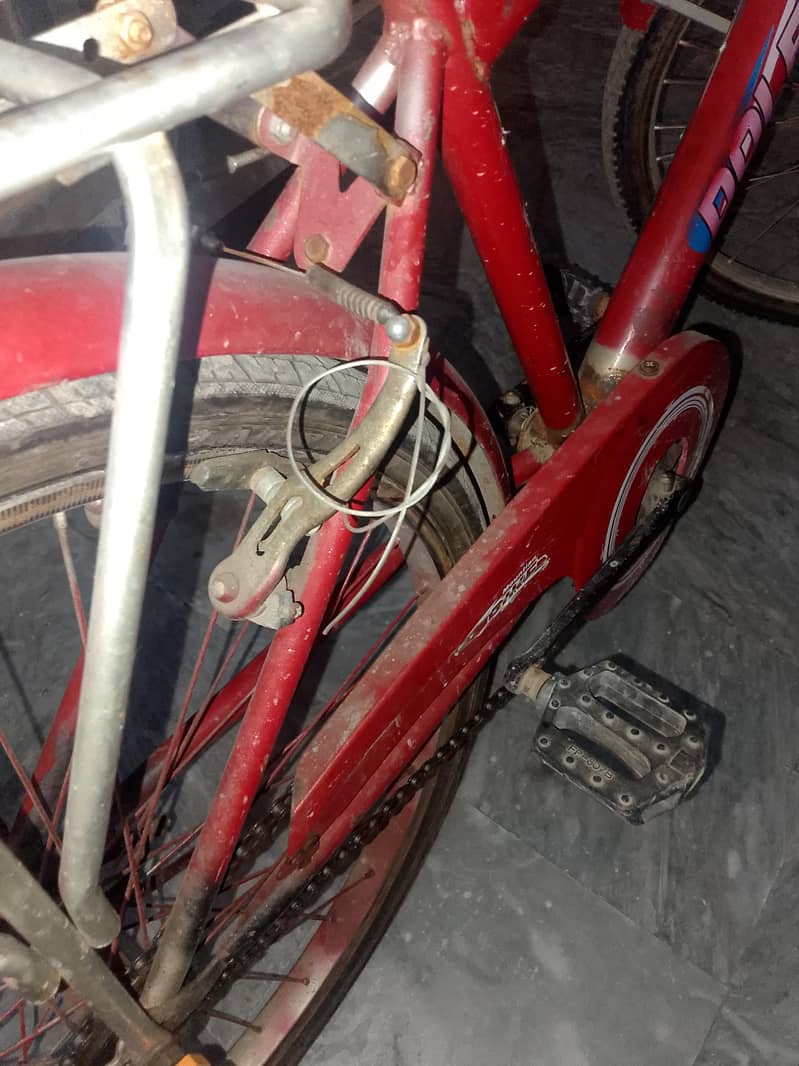 New red cycle 8