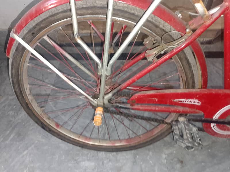 New red cycle 11