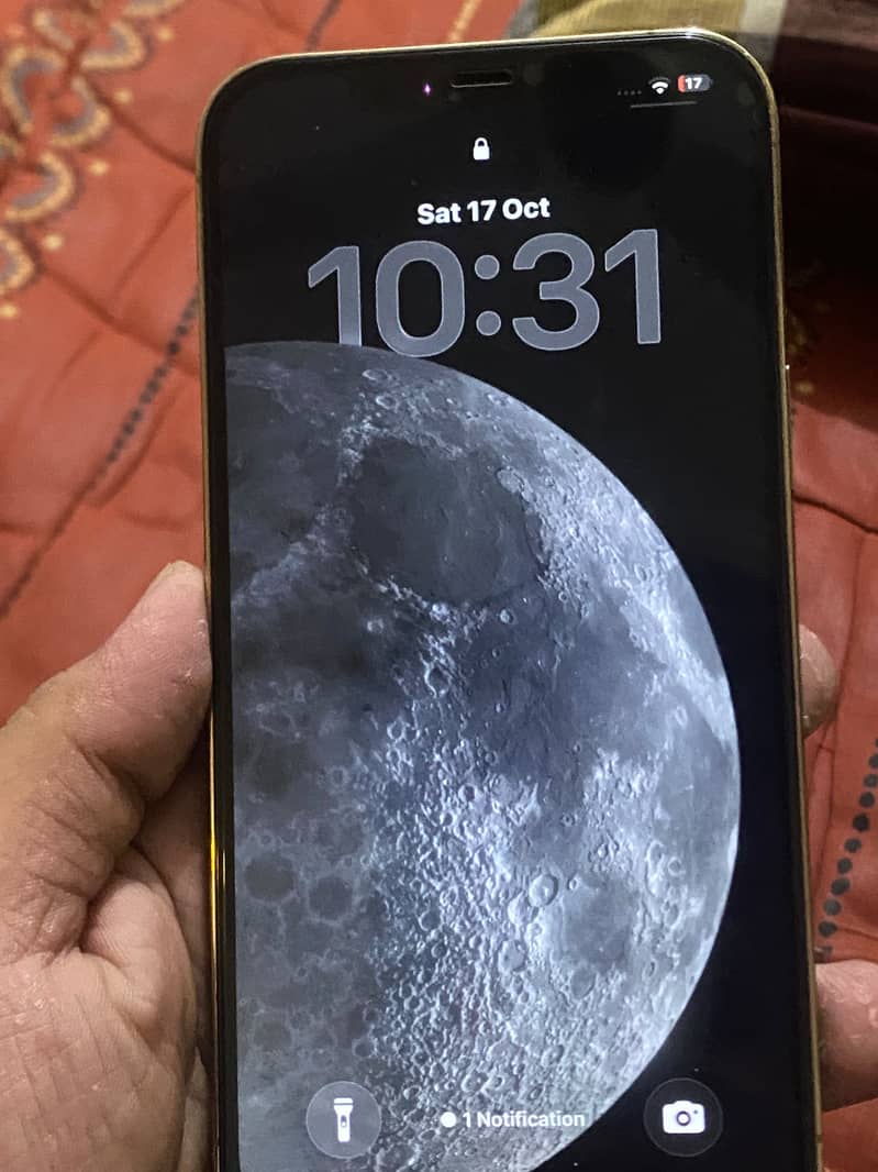 Apple iPhone 12 Pro Max 1