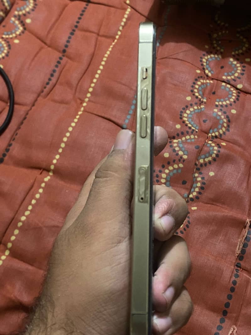 Apple iPhone 12 Pro Max 2