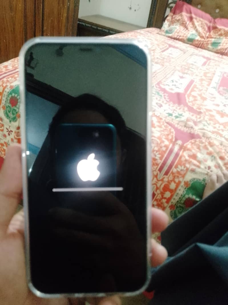 Apple iPhone 12 Pro Max 1