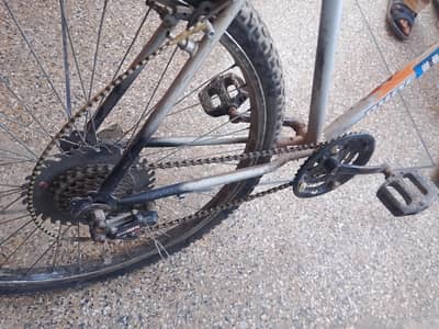 Phoneix Cycle