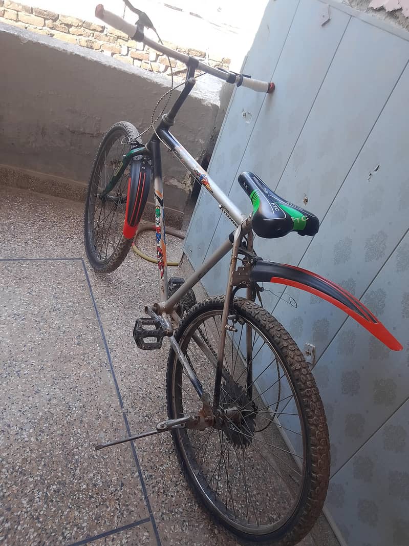 Phoneix Cycle 3