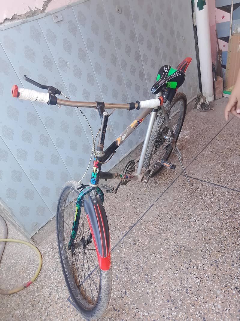 Phoneix Cycle 4