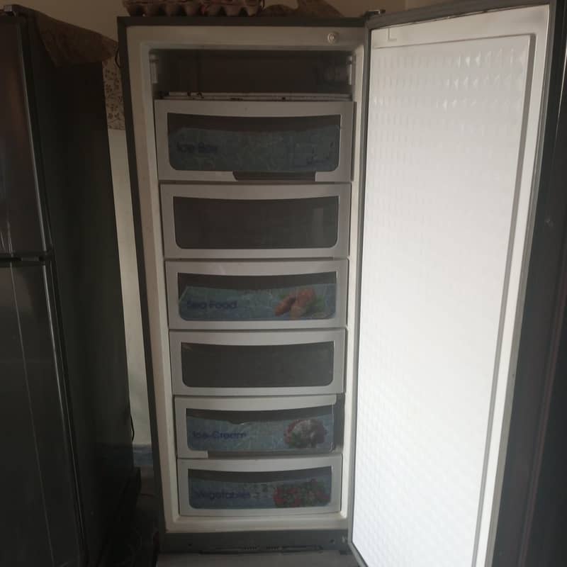 Standing deep freezer. Dawlance 1