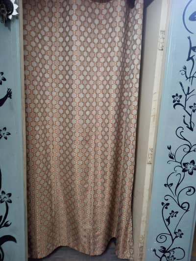 pair of curtain in jacart.
