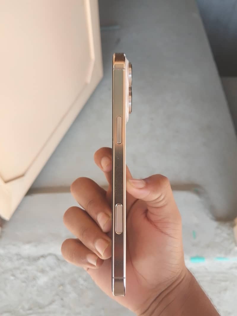 Apple iPhone 16 Pro Max 1