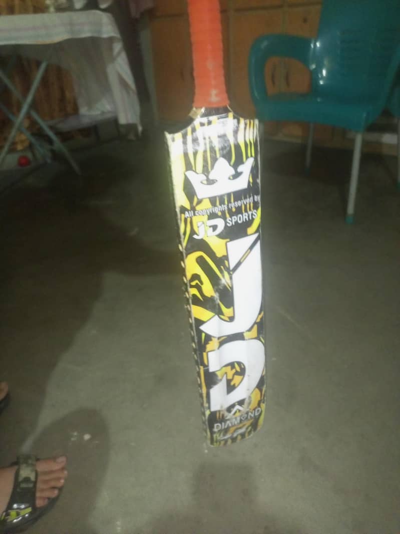 cricket bat 1