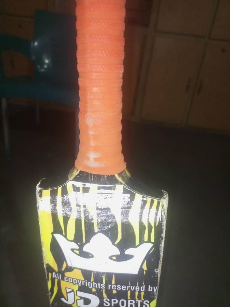 cricket bat 2