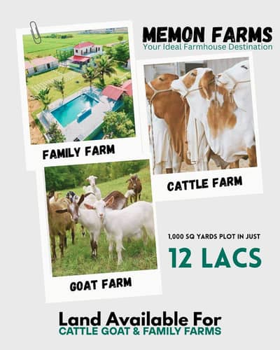 Memon Farms Land 1000sqyrd Plot Starting in just 12 Lacs Farm House & Cattle Farm