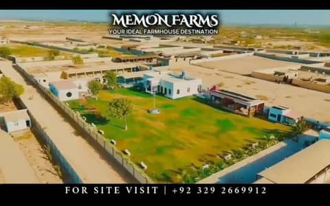 Farmhouse & cattlefarm Land