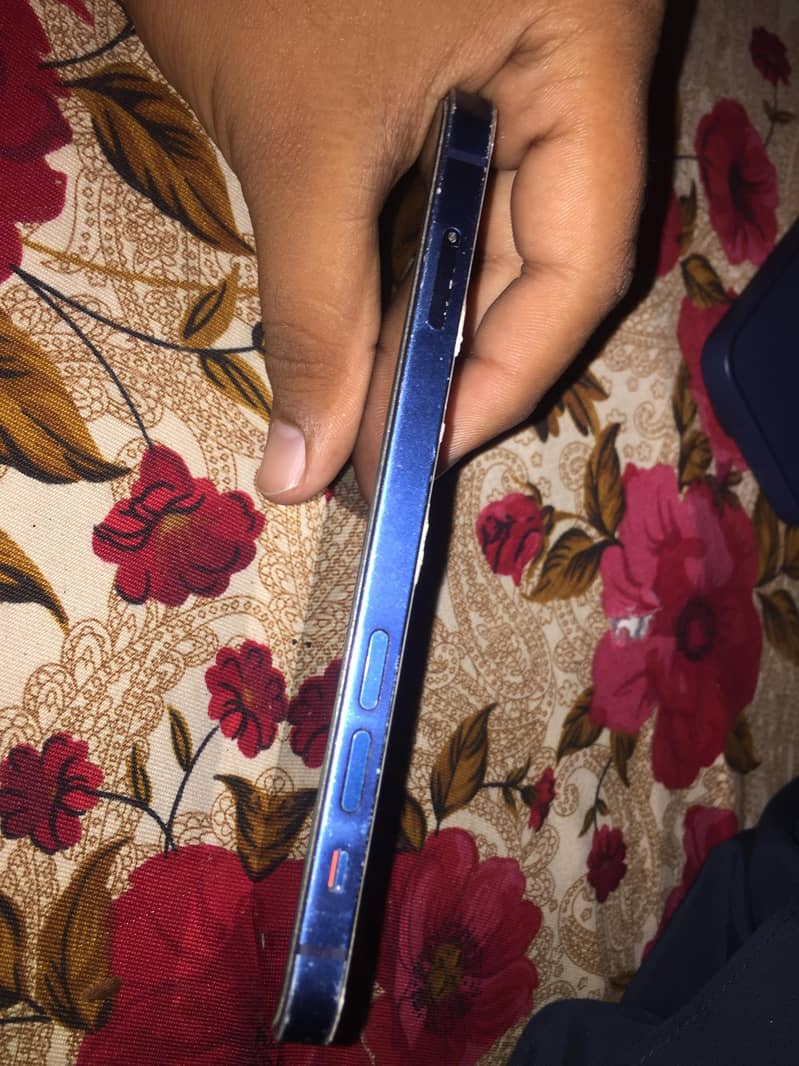 Apple iPhone 12 1