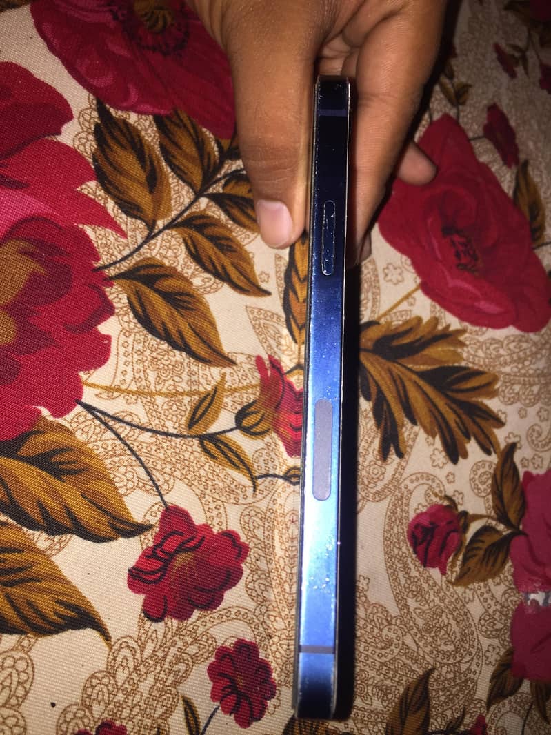 Apple iPhone 12 3