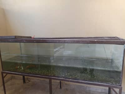 Aquarium available for Sale