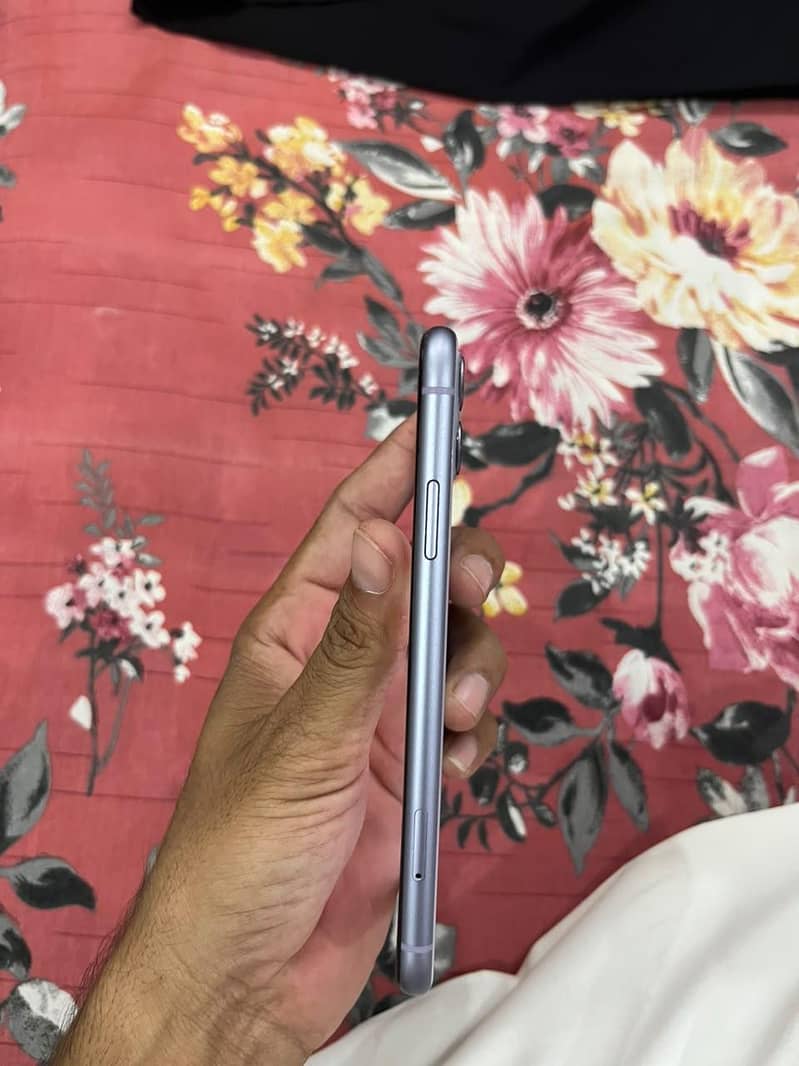 Apple iPhone 11 0