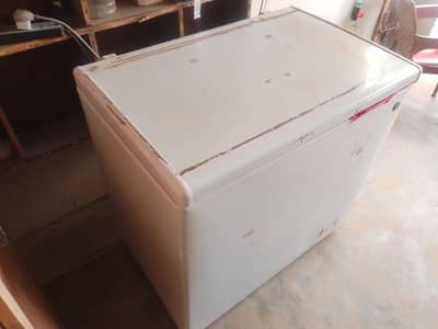 Pell freezer available for sale