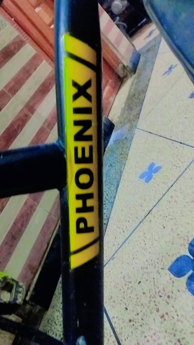 Phoenix 4