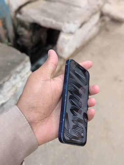 Apple iPhone 12 mini