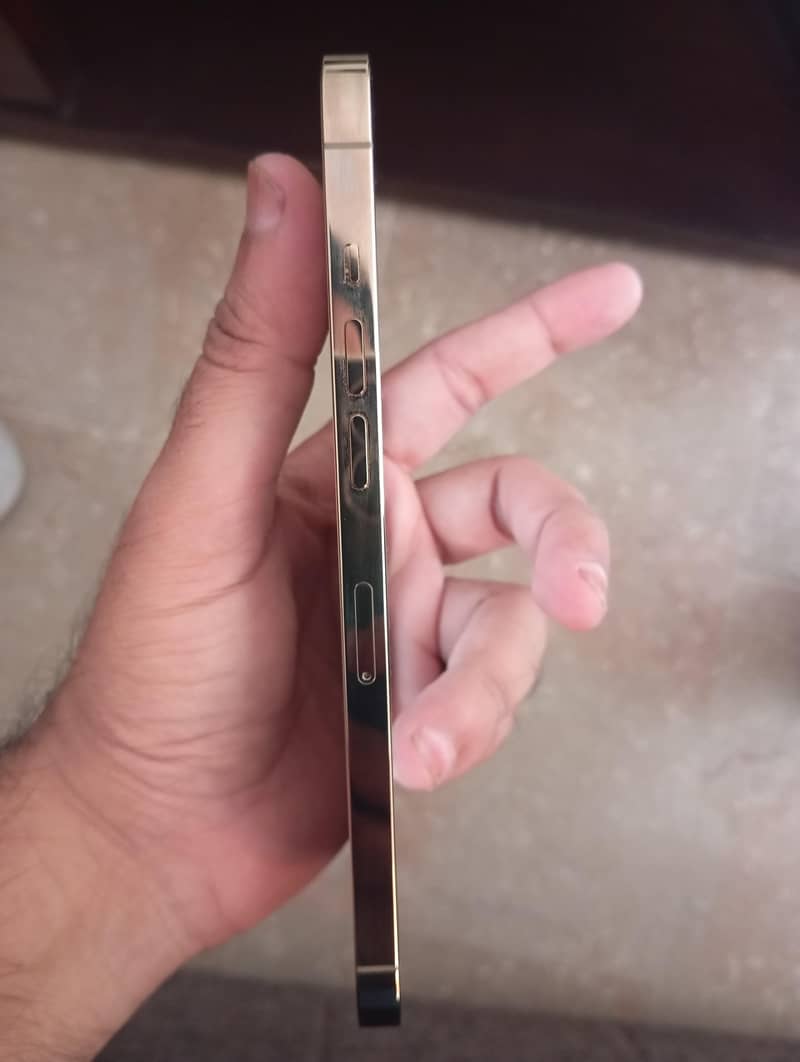 Apple iPhone 12 Pro Max 4