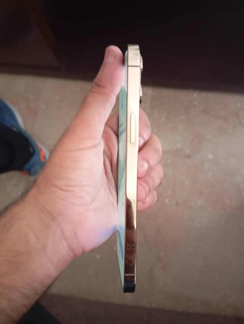 Apple iPhone 12 Pro Max 5