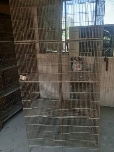 cage 4 Khane 8 khane 12 kahne