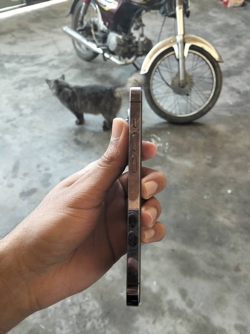 Apple iPhone 14 Pro 2