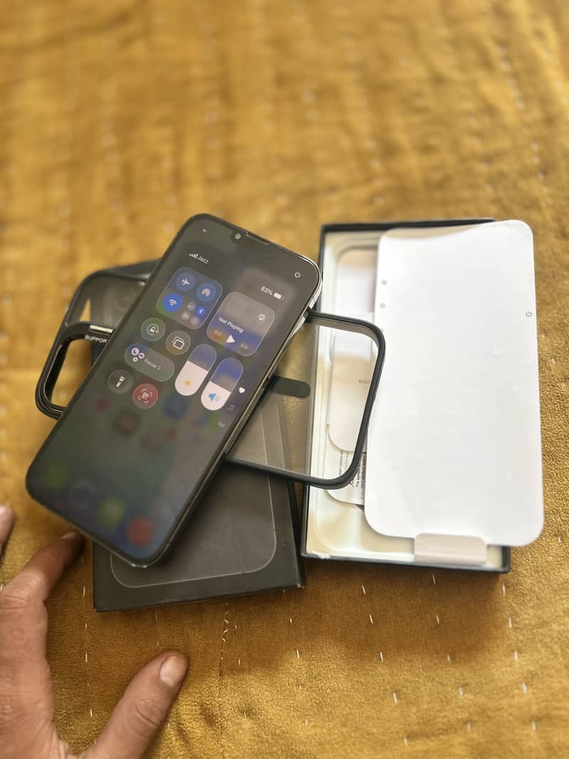 Apple iPhone 13 pro Max 1