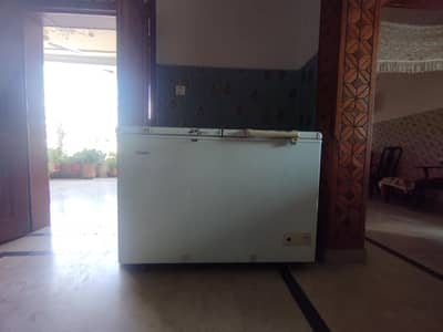 hair freezer 1 year used