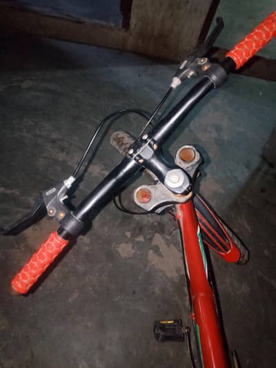 my new cycle