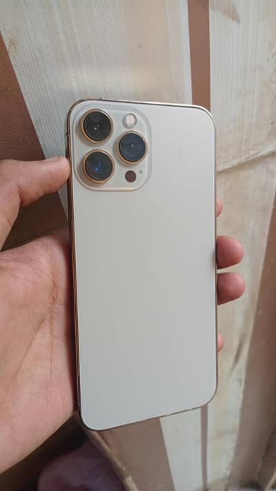 Apple iPhone 13 Pro Max