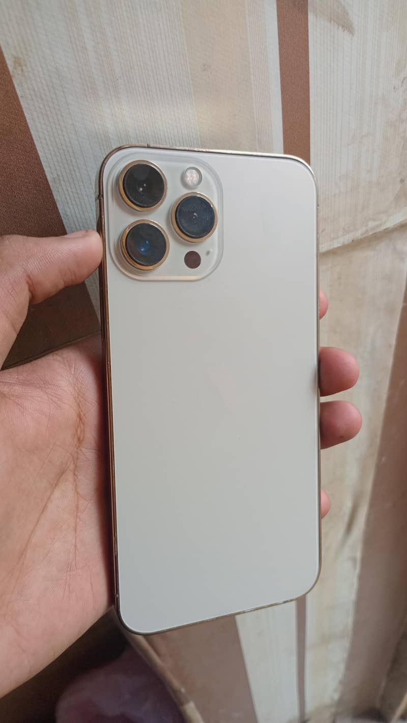 Apple iPhone 13 Pro Max 0