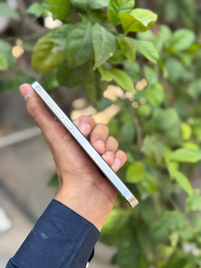Apple iPhone 16 Pro Max 1