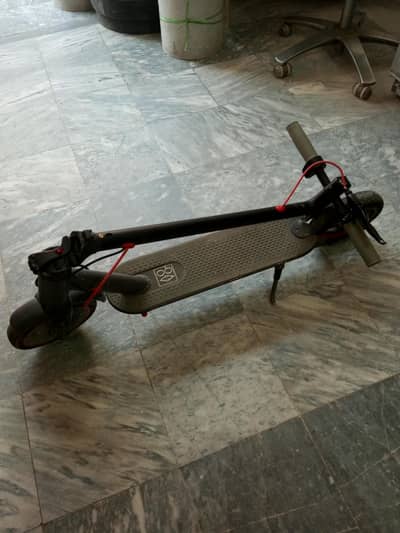 Electric Scotty