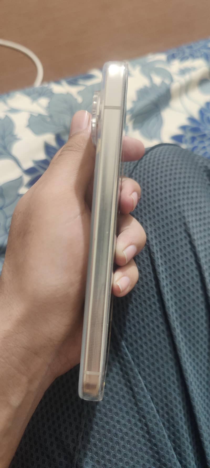 Google Pixel 9 Pro XL 1