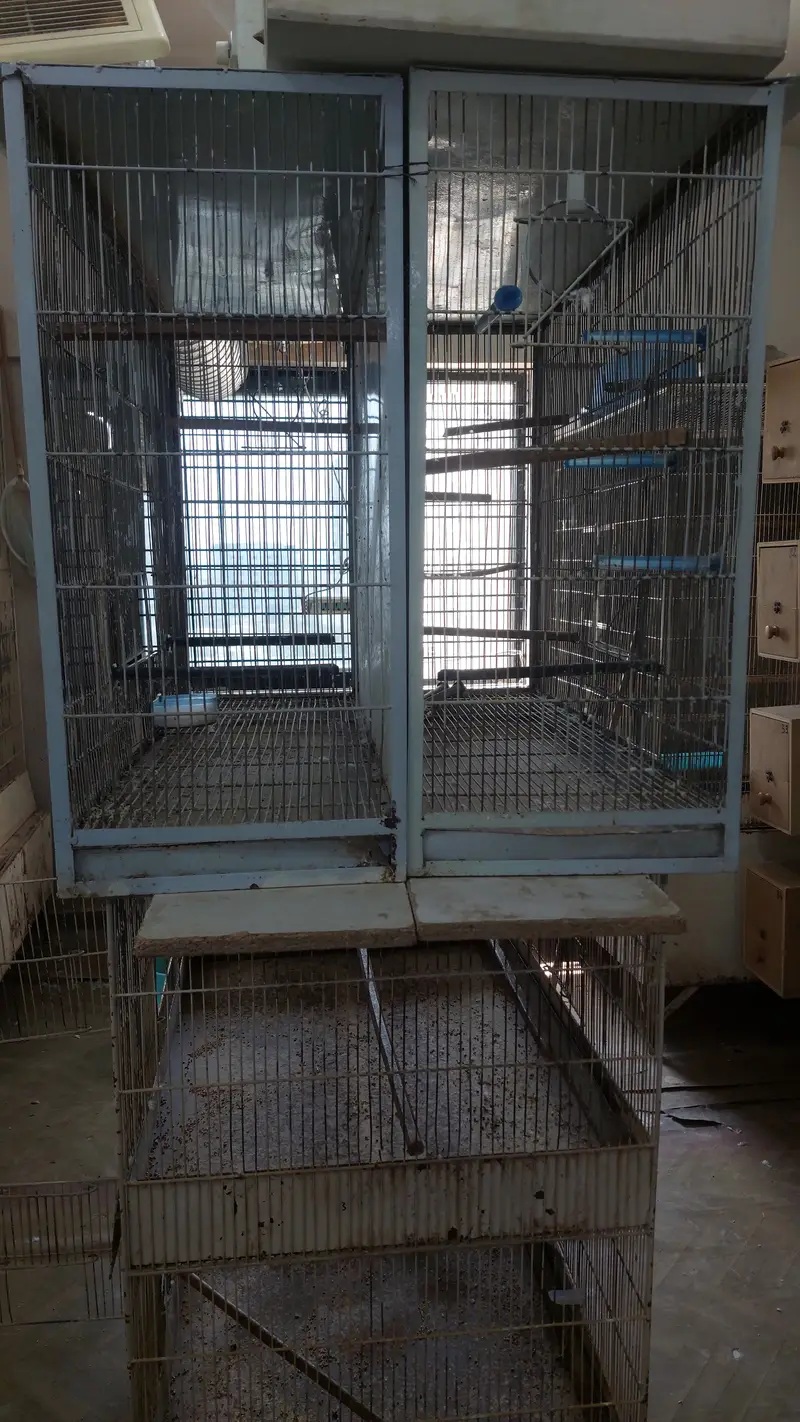 Metal used cages for birds (good condition with quality material) — photo 3