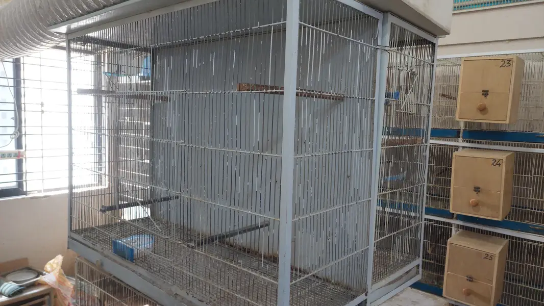 Metal used cages for birds (good condition with quality material) — photo 4